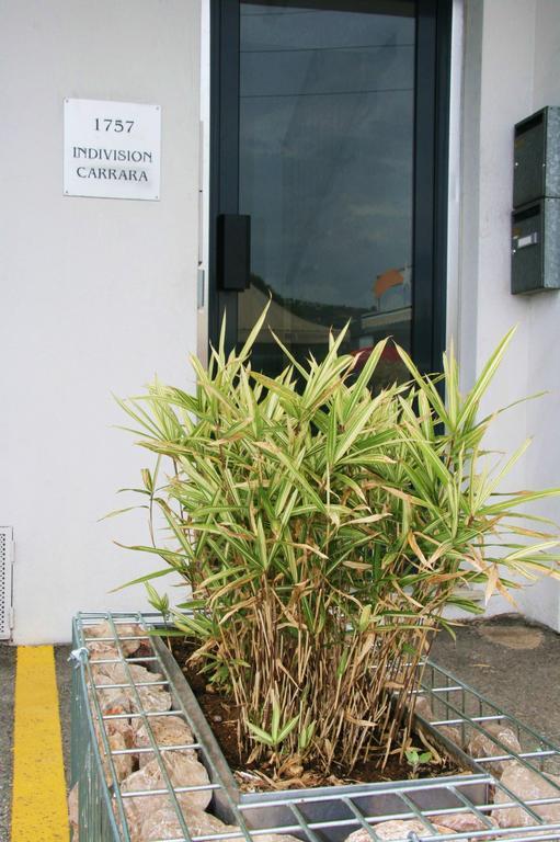 Appart Azur Apartment Saint-Laurent-du-Var Exterior photo